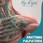 Corso Anatomia Palpatoria Padova